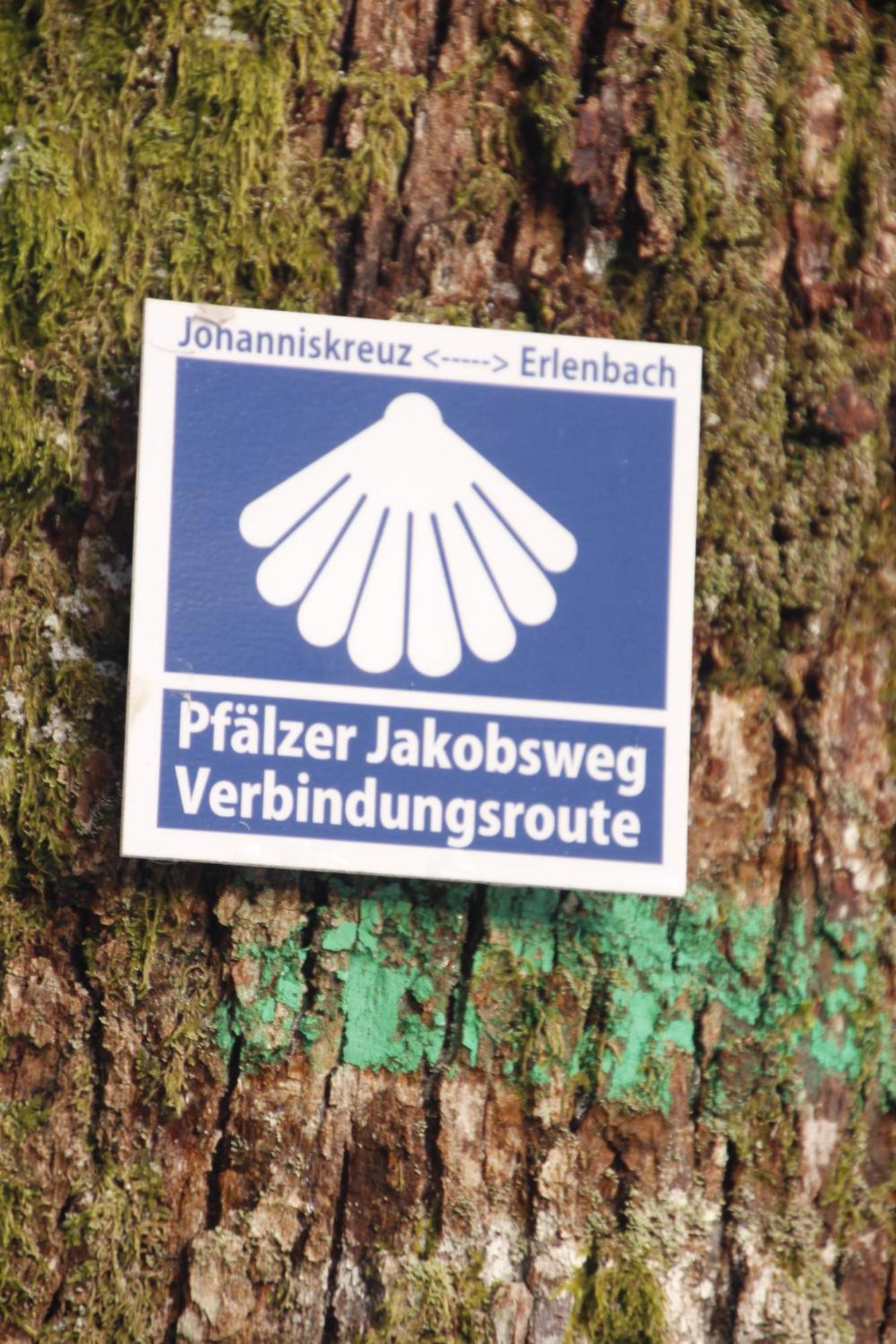Апартаменти Ferienwohung Am Felsenwanderweg Im Pfaelzerwald Rodalben Екстер'єр фото