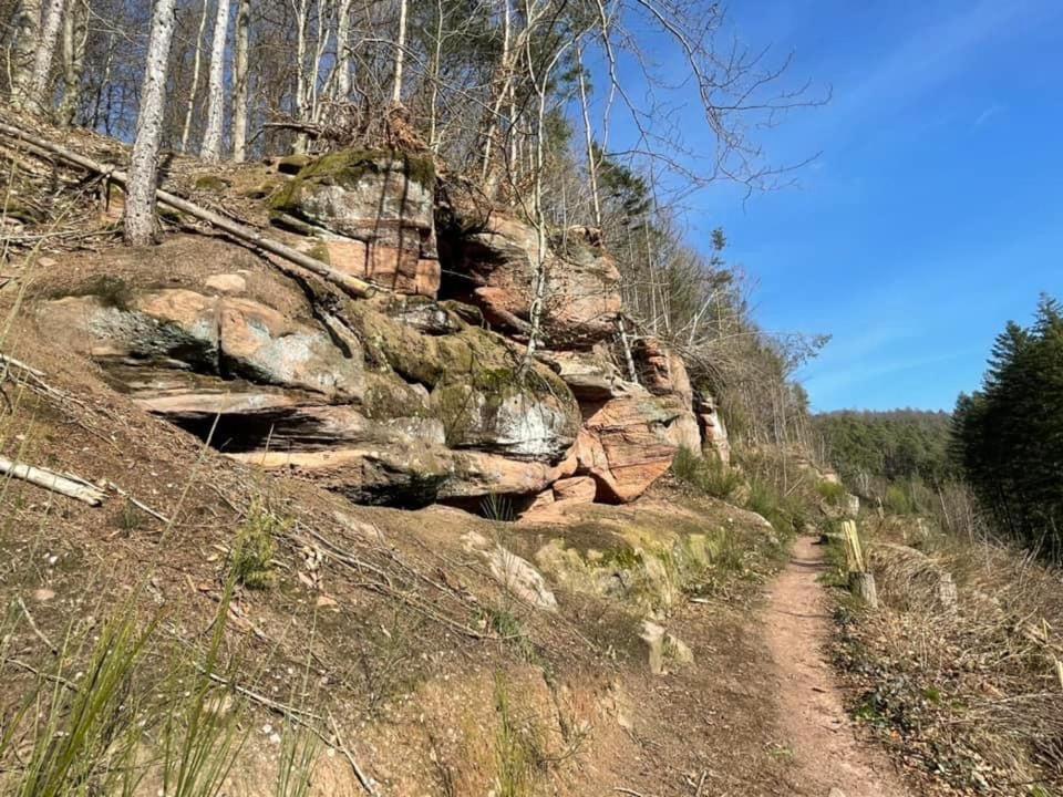 Апартаменти Ferienwohung Am Felsenwanderweg Im Pfaelzerwald Rodalben Екстер'єр фото