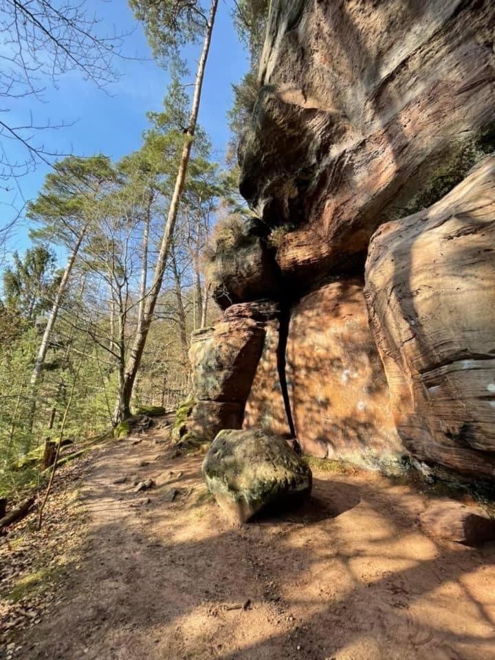 Апартаменти Ferienwohung Am Felsenwanderweg Im Pfaelzerwald Rodalben Екстер'єр фото